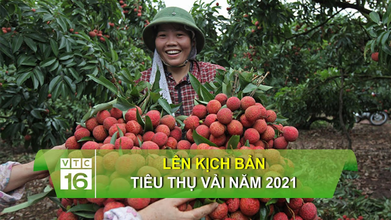 Làm Video Ngắn – Vừa Sáng Tạo, Vừa Kiếm Tiền Với Công Cụ Hữu Ích_Cộng đồng khởi nghiệp